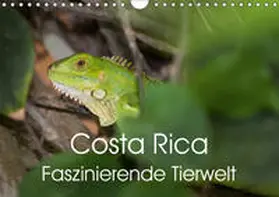Gerber | Costa Rica. Faszinierende Tierwelt (Wandkalender 2019 DIN A4 quer) | Sonstiges | 978-3-669-75709-6 | www.sack.de