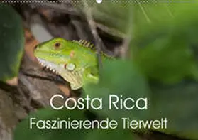 Gerber |  Costa Rica. Faszinierende Tierwelt (Wandkalender 2019 DIN A2 quer) | Sonstiges |  Sack Fachmedien