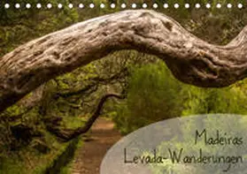 Gimpel | Madeiras Levada-Wanderungen (Tischkalender 2019 DIN A5 quer) | Sonstiges | 978-3-669-75799-7 | www.sack.de