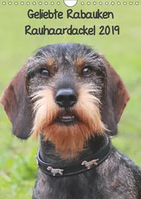 Mielewczyk |  Geliebte Rabauken - Rauhaardackel (Wandkalender 2019 DIN A4 hoch) | Sonstiges |  Sack Fachmedien