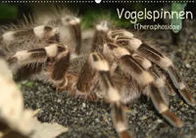 Mielewczyk |  Vogelspinnen (Theraphosidae)CH-Version  (Wandkalender 2019 DIN A2 quer) | Sonstiges |  Sack Fachmedien
