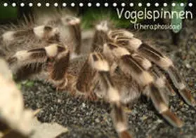 Mielewczyk | Vogelspinnen (Theraphosidae)CH-Version  (Tischkalender 2019 DIN A5 quer) | Sonstiges | 978-3-669-75927-4 | www.sack.de