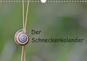 Schmutzler-Schaub |  Der Schneckenkalender (Wandkalender 2019 DIN A4 quer) | Sonstiges |  Sack Fachmedien