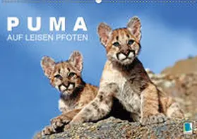 Calvendo / CALVENDO |  Puma: Auf leisen Pfoten (Wandkalender 2019 DIN A2 quer) | Sonstiges |  Sack Fachmedien