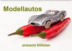 Hasche | Modellautos - amüsante Stillleben (Wandkalender 2019 DIN A2 quer) | Sonstiges | 978-3-669-77207-5 | www.sack.de