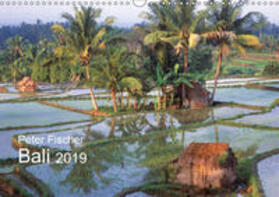 Fischer |  Peter Fischer - Bali 2019 (Wandkalender 2019 DIN A3 quer) | Sonstiges |  Sack Fachmedien