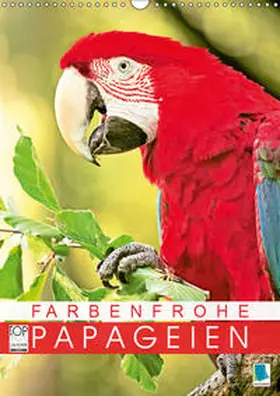 Calvendo / CALVENDO |  Farbenfrohe Papageien (Wandkalender 2019 DIN A3 hoch) | Sonstiges |  Sack Fachmedien