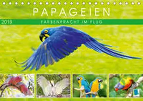 Calvendo / CALVENDO |  Papageien: Farbenpracht im Flug (Tischkalender 2019 DIN A5 quer) | Sonstiges |  Sack Fachmedien