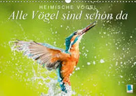Calvendo / CALVENDO |  Alle Vögel sind schon da: Heimische Vögel (Wandkalender 2019 DIN A3 quer) | Sonstiges |  Sack Fachmedien