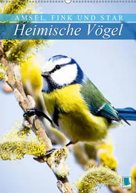 Calvendo / CALVENDO |  Amsel, Fink und Star: Heimische Vögel (Wandkalender 2019 DIN A2 hoch) | Sonstiges |  Sack Fachmedien