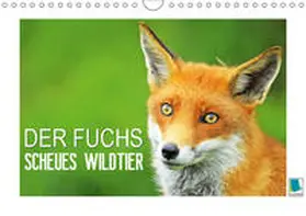 Calvendo / CALVENDO |  Der Fuchs: scheues Wildtier (Wandkalender 2019 DIN A4 quer) | Sonstiges |  Sack Fachmedien