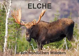 Henry |  ELCHE In den nördlichen Wäldern (Wandkalender 2019 DIN A2 quer) | Sonstiges |  Sack Fachmedien