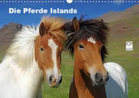 Pantke | Die Pferde Islands (Wandkalender 2019 DIN A3 quer) | Sonstiges | 978-3-669-78184-8 | sack.de