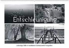 J. Richtsteig |  Entschleunigung (Wandkalender 2019 DIN A2 quer) | Sonstiges |  Sack Fachmedien