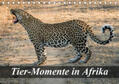 Janssen |  Tier-Momente in Afrika (Tischkalender 2019 DIN A5 quer) | Sonstiges |  Sack Fachmedien