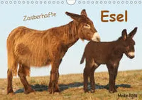 Bölts |  Zauberhafte Esel (Wandkalender 2019 DIN A4 quer) | Sonstiges |  Sack Fachmedien