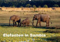 Krause |  Elefanten in Sambia (Wandkalender 2019 DIN A2 quer) | Sonstiges |  Sack Fachmedien