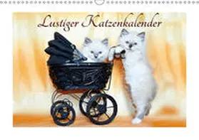 Chrystal |  Lustiger Katzenkalender (Wandkalender 2019 DIN A3 quer) | Sonstiges |  Sack Fachmedien