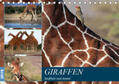 Herzog |  Giraffen - Sanftheit und Anmut (Tischkalender 2019 DIN A5 quer) | Sonstiges |  Sack Fachmedien
