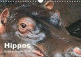 Herzog |  Hippos - Begegnungen in Afrika (Wandkalender 2019 DIN A4 quer) | Sonstiges |  Sack Fachmedien