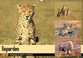 Herzog |  Geparden - Begegnungen in Afrika (Wandkalender 2019 DIN A2 quer) | Sonstiges |  Sack Fachmedien