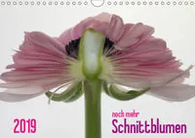 Weber-Gebert |  2019 - noch mehr SCHNITTBLUMEN (Wandkalender 2019 DIN A4 quer) | Sonstiges |  Sack Fachmedien