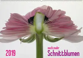 Weber-Gebert |  2019 - noch mehr SCHNITTBLUMEN (Wandkalender 2019 DIN A2 quer) | Sonstiges |  Sack Fachmedien