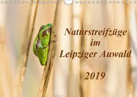 Beyer |  Naturstreifzüge im Leipziger Auwald (Wandkalender 2019 DIN A4 quer) | Sonstiges |  Sack Fachmedien