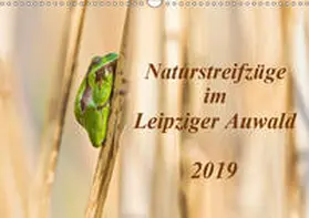 Beyer |  Naturstreifzüge im Leipziger Auwald (Wandkalender 2019 DIN A3 quer) | Sonstiges |  Sack Fachmedien