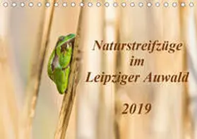 Beyer |  Naturstreifzüge im Leipziger Auwald (Tischkalender 2019 DIN A5 quer) | Sonstiges |  Sack Fachmedien