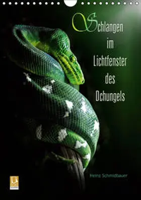 Schmidbauer |  Schlangen im Lichtfenster des Dschungels (Wandkalender 2019 DIN A4 hoch) | Sonstiges |  Sack Fachmedien