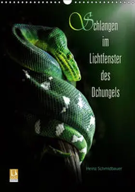 Schmidbauer |  Schlangen im Lichtfenster des Dschungels (Wandkalender 2019 DIN A3 hoch) | Sonstiges |  Sack Fachmedien