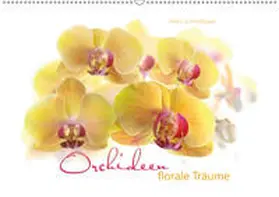 Schmidbauer | Orchideen florale Träume (Wandkalender 2019 DIN A2 quer) | Sonstiges | 978-3-669-81383-9 | www.sack.de