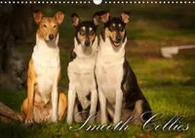 Längsfeld |  Smooth Collies (Wandkalender 2019 DIN A3 quer) | Sonstiges |  Sack Fachmedien