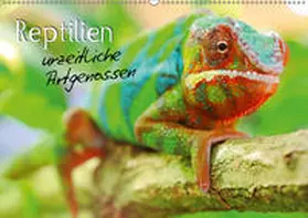 Mosert | Reptilien urzeitliche Artgenossen (Wandkalender 2019 DIN A2 quer) | Sonstiges | 978-3-669-83037-9 | www.sack.de