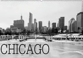 Stein |  Icy Chicago (Wandkalender 2019 DIN A2 quer) | Sonstiges |  Sack Fachmedien