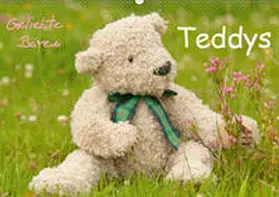 Bölts |  Geliebte Bären - Teddys (Wandkalender 2019 DIN A2 quer) | Sonstiges |  Sack Fachmedien