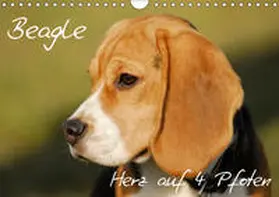 Starick |  Beagle - Herz auf 4 Pfoten (Wandkalender 2019 DIN A4 quer) | Sonstiges |  Sack Fachmedien