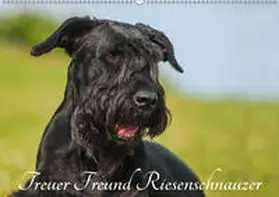 Starick | Treuer Freund Riesenschnauzer (Wandkalender 2019 DIN A2 quer) | Sonstiges | 978-3-669-83558-9 | www.sack.de