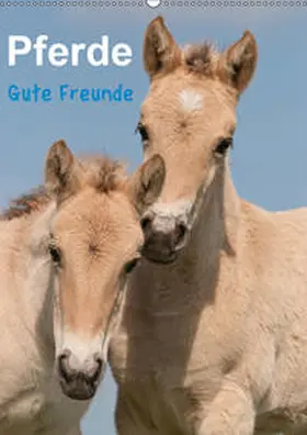 Bölts |  Pferde Gute Freunde (Wandkalender 2019 DIN A2 hoch) | Sonstiges |  Sack Fachmedien
