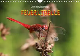 Brix - Studio Brix |  Die einzigartige Feuerlibelle (Wandkalender 2019 DIN A4 quer) | Sonstiges |  Sack Fachmedien