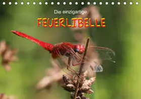 Brix - Studio Brix |  Die einzigartige Feuerlibelle (Tischkalender 2019 DIN A5 quer) | Sonstiges |  Sack Fachmedien