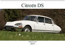 Bölts |  Citroën DS - Göttin in weiß (Wandkalender 2019 DIN A2 quer) | Sonstiges |  Sack Fachmedien