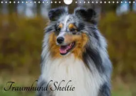 Starick | Traumhund Sheltie (Wandkalender 2019 DIN A4 quer) | Sonstiges | 978-3-669-84145-0 | www.sack.de