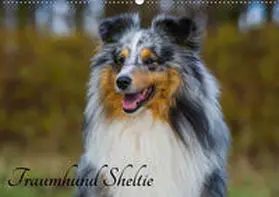 Starick | Traumhund Sheltie (Wandkalender 2019 DIN A2 quer) | Sonstiges | 978-3-669-84147-4 | www.sack.de