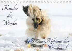 Starick | Kinder des Windes - Afghanischer Windhund (Tischkalender 2019 DIN A5 quer) | Sonstiges | 978-3-669-84156-6 | www.sack.de