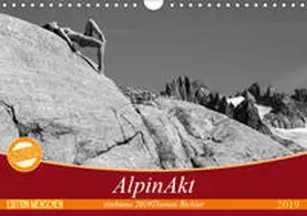 Bichler |  AlpinAkt (Wandkalender 2019 DIN A4 quer) | Sonstiges |  Sack Fachmedien