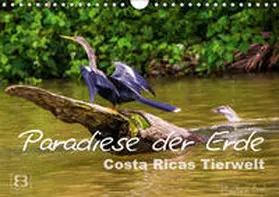 Busch |  Paradiese der Erde: Costa Ricas Tierwelt (Wandkalender 2019 DIN A4 quer) | Sonstiges |  Sack Fachmedien