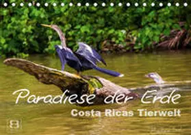 Busch |  Paradiese der Erde: Costa Ricas Tierwelt (Tischkalender 2019 DIN A5 quer) | Sonstiges |  Sack Fachmedien