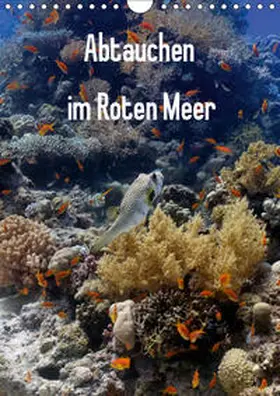 Eberschulz | Abtauchen im Roten Meer (Wandkalender 2019 DIN A4 hoch) | Sonstiges | 978-3-669-84268-6 | www.sack.de